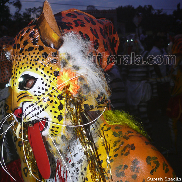 pulikkali-2011 (68)